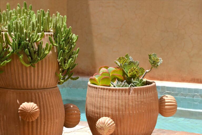 swimming pool riad Dar Housnia in Marrakech